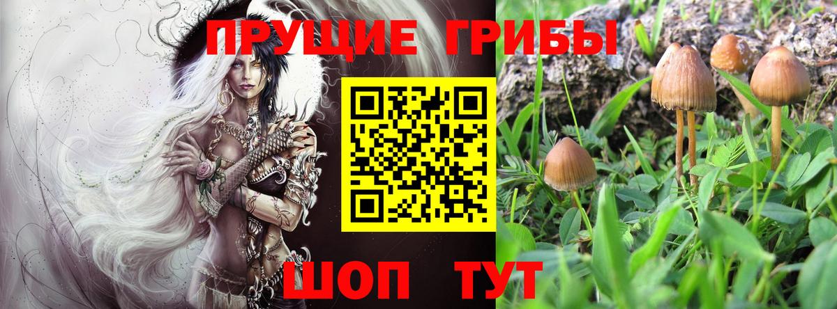Кашира  Галлюциногенные грибы мухоморы  купить наркотики цена  Вход с VPN  Псилоцибиновые грибы Cubensis 